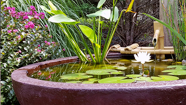 Patio Pond With Bamboo Water Fountain and Water Lily