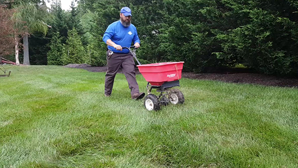 Lawn Care Technician Walking Behind Spreading Machine Applying Fertilizer