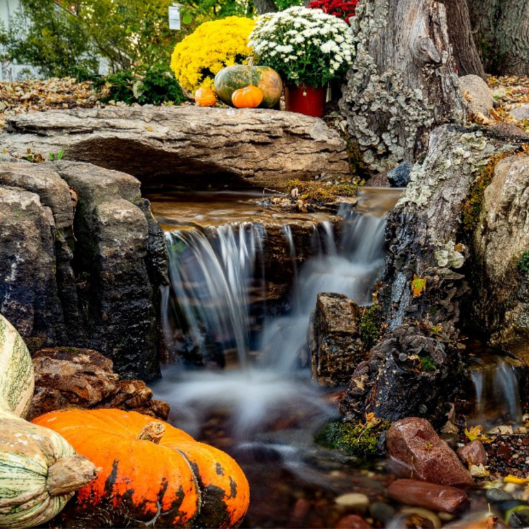 Fall Pond Maintenance
