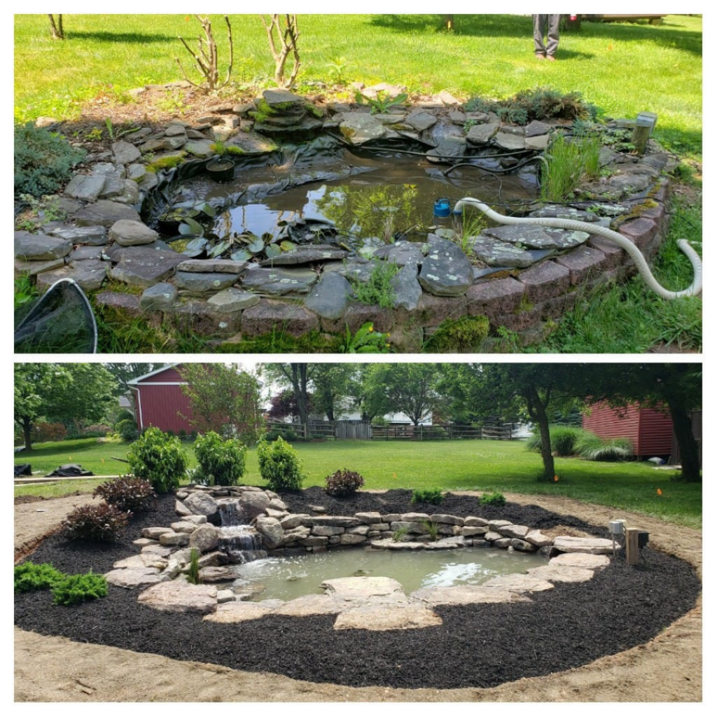 Pond Renovation