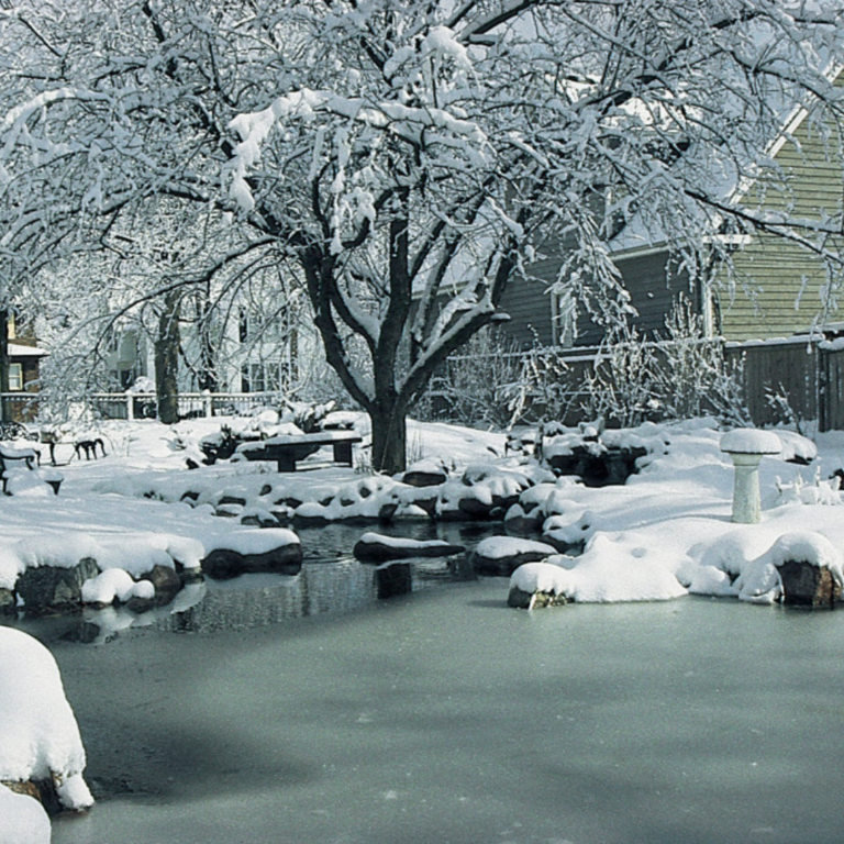 Winter Pond Maintenance